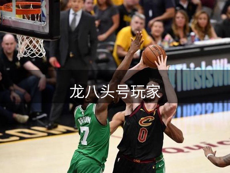 品牌介绍